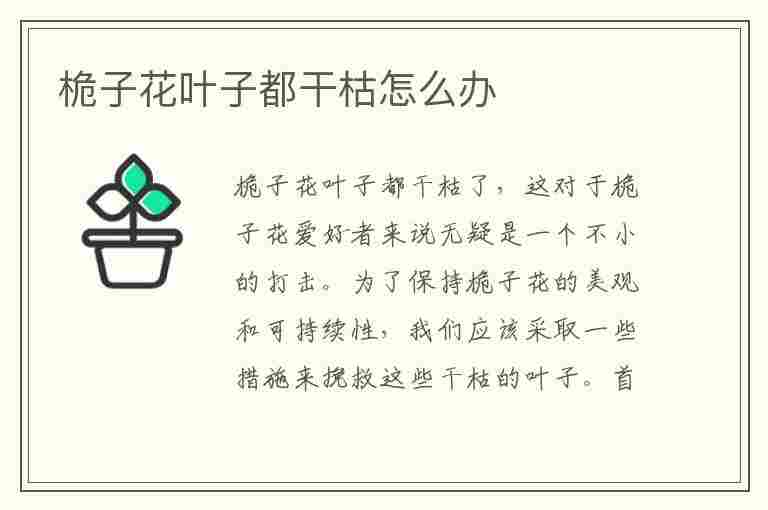 桅子花叶子都干枯怎么办(桅子花叶子干枯怎么办视频)